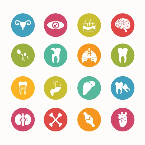  insan anatomisi simgeler daire serisi - eps.10 ayarlayın.