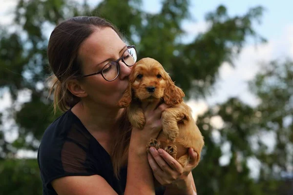 İnanılmaz, yeni doğmuş ve şirin kırmızı İngiliz Cocker Spaniel köpek yavrusu detayı. Kırmızı İngiliz Cocker Spaniel insan sarılması.