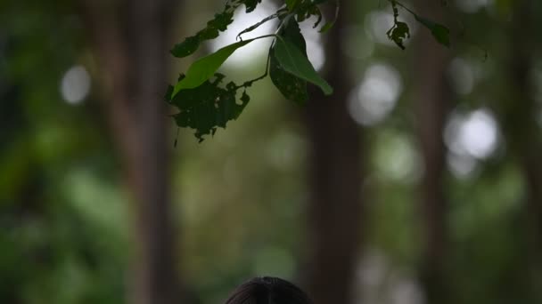 Wanita Asia Membuat Wajah Hantu Adegan Horor Latar Belakang Menakutkan — Stok Video