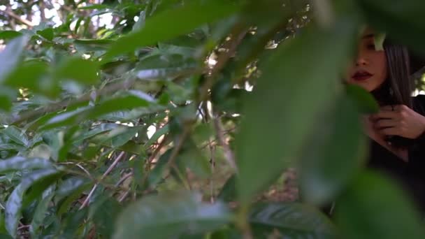 Asiática Hermosa Mujer Con Vestido Negro Sombrero Bruja Aire Libre — Vídeo de stock