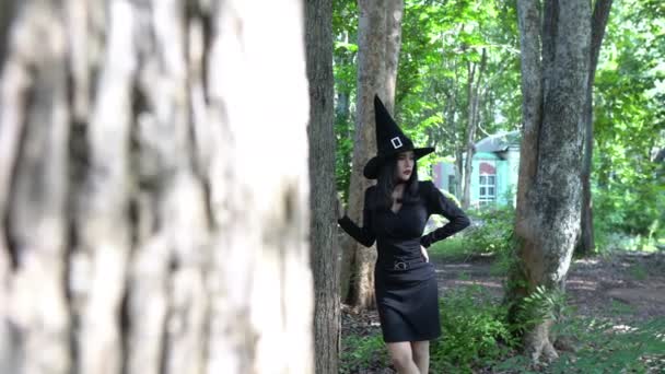 Asiática Hermosa Mujer Con Vestido Negro Sombrero Bruja Aire Libre — Vídeos de Stock