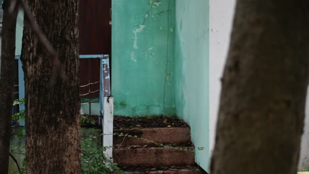 Mulher Asiática Compõem Fantasma Rosto Cena Terror Fundo Assustador Conceito — Vídeo de Stock