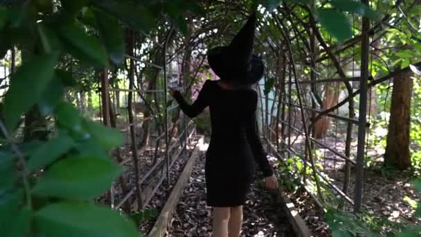 Asiática Hermosa Mujer Con Vestido Negro Sombrero Bruja Aire Libre — Vídeo de stock