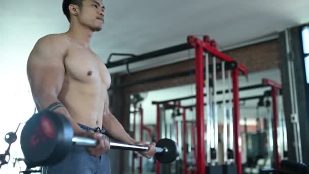 Азиатский Мужчина Большими Мышцами Силовой Тренировки Спортзале — стоковое видео