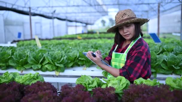 Asiatisk Bonde Kvinna Som Arbetar Salladsgården Plantera Ekologiska Hydroponic Grönsaker — Stockvideo