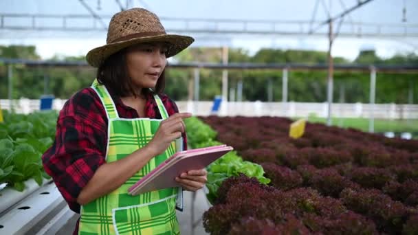 Ασιάτισσα Αγρότισσα Που Εργάζεται Στο Αγρόκτημα Σαλάτας Φυτεύοντας Βιολογικό Υδροπονικό — Αρχείο Βίντεο