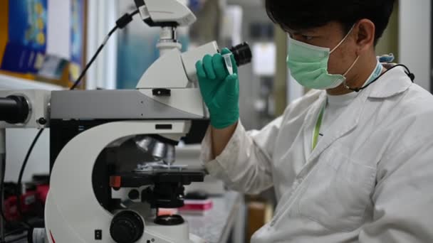 化学家们混合了化学物质 在实验室找到了抗逆转录病毒药物 研发了可能的药品和对付鳕鱼 19的疫苗 — 图库视频影像