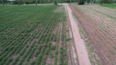 Ülkedeki insansız hava aracının üst görüntüsü, doğa kavramı