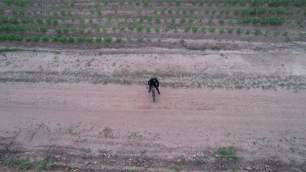 从空中看男子骑自行车在乡间的景象 — 图库视频影像