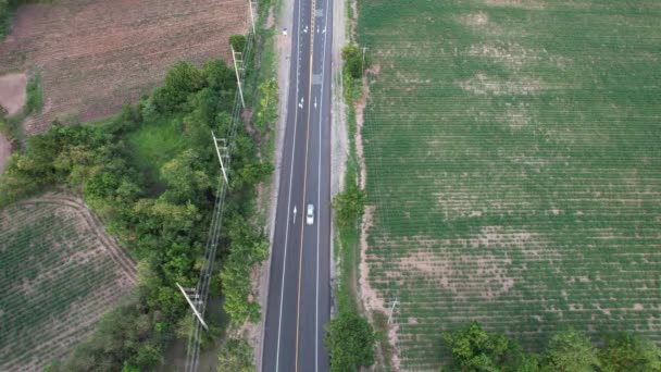 Top View Drone Country Nature Concept — Stock Video