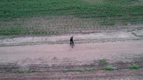 从空中看男子骑自行车在乡间的景象 — 图库视频影像