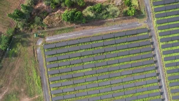从无人机角度看太阳能发电厂 绿色能源技术 — 图库视频影像