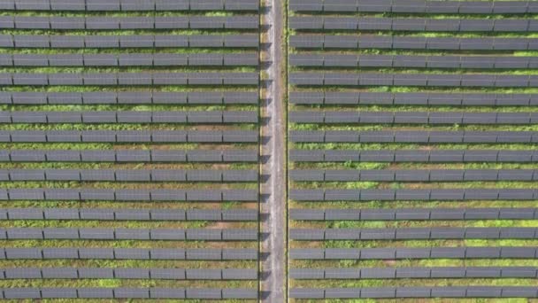 从无人机角度看太阳能发电厂 绿色能源技术 — 图库视频影像