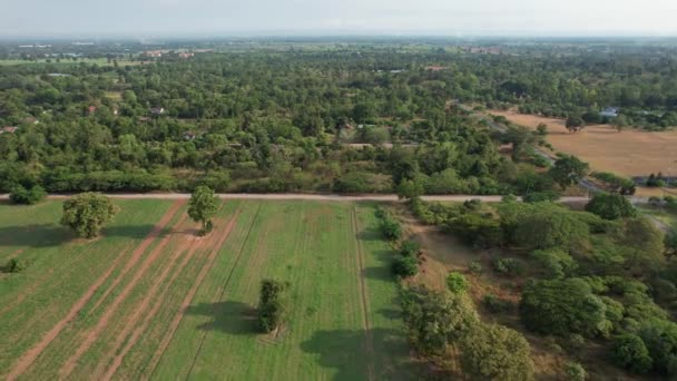 Vista Superior Desde Dron País Concepto Naturaleza — Vídeo de stock