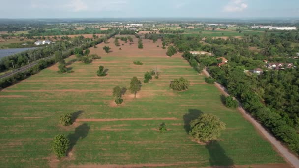 Top View Drone Country Nature Concept — Stock Video