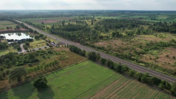 Top View Drone Country Nature Concept — Stock Video