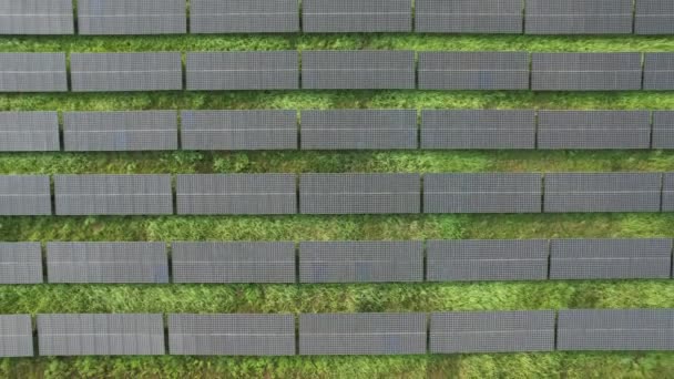 Granja Energía Solar Desde Vista Del Dron Tecnología Energía Verde — Vídeo de stock