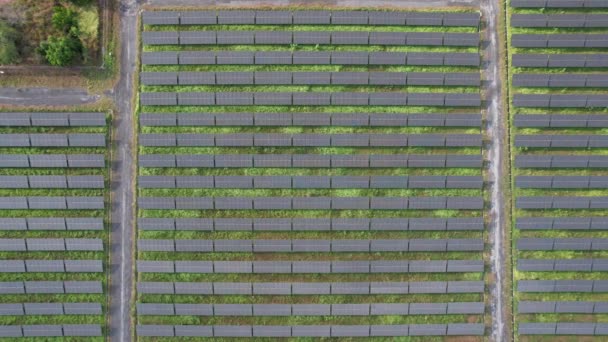 Granja Energía Solar Desde Vista Del Dron Tecnología Energía Verde — Vídeo de stock