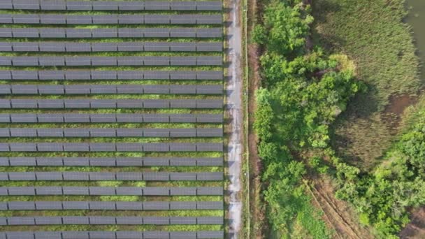 Widok Lotu Ptaka Farmę Energii Słonecznej Koncepcja Technologii Zielonej Energii — Wideo stockowe