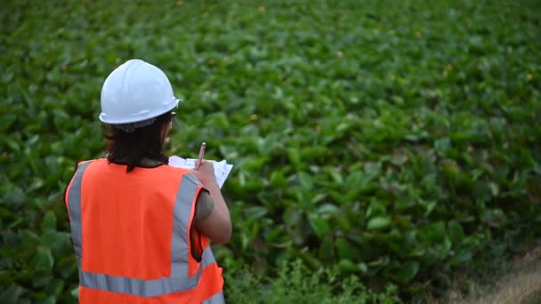 Milieutechnici Werken Waterberging Controleren Van Het Water Controleren Kwaliteit Van — Stockvideo