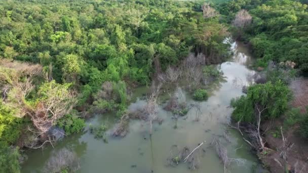 Gündüz Baraj Manzarası Çevre Kavramı — Stok video