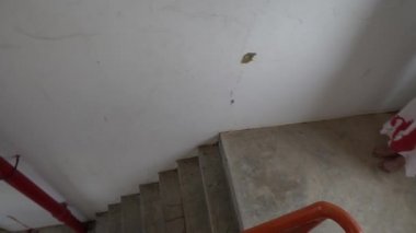 Ölü kızın kanlı videosu, Cadılar Bayramı konsepti. 