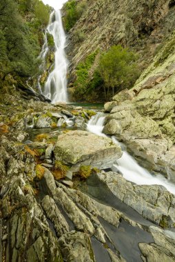 Sonbaharda Las Hurdes 'te Ovejuela serpintisi. Extremadura