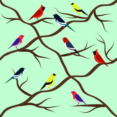 kuşlar sorunsuz patterrn