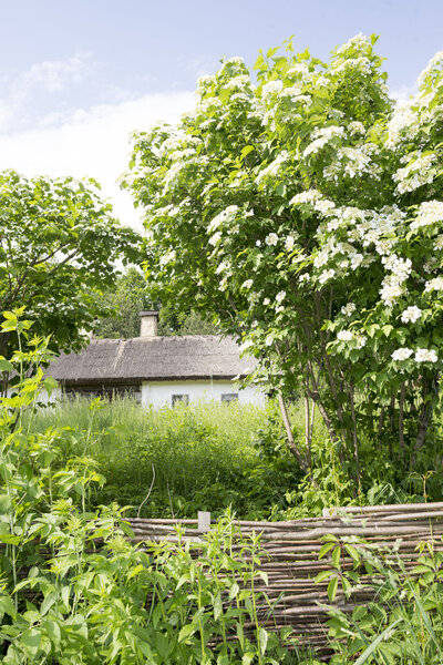 Neat Ukrainian Building
