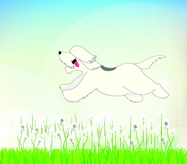Old English Sheepdog in the field