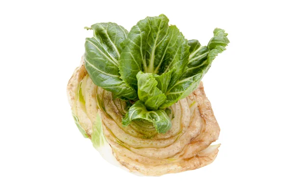 Chinese cabbage vegetable — Stock Photo, Image