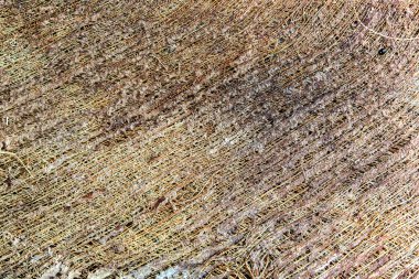 petiole kuru kılıf veya eski yaprak Hindistan cevizi kabuğu