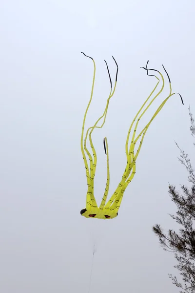 Kleurrijke vlieger in de blauwe lucht — Stockfoto