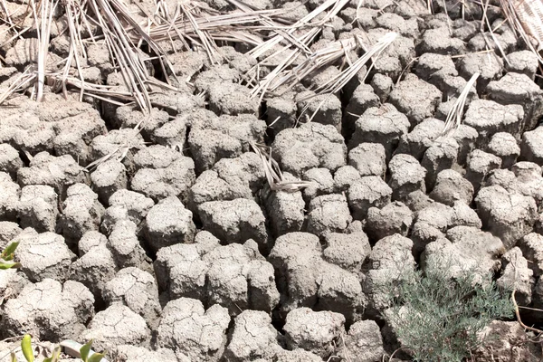 Tierra seca naturaleza suelo — Foto de Stock