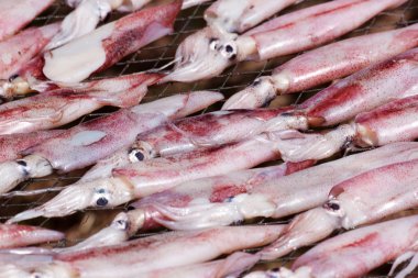 Güneş ile kurutulmuş kalamar