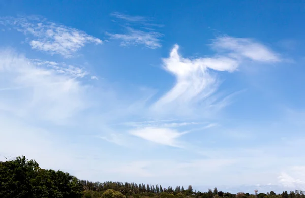 Céu azul perfeito — Fotografia de Stock