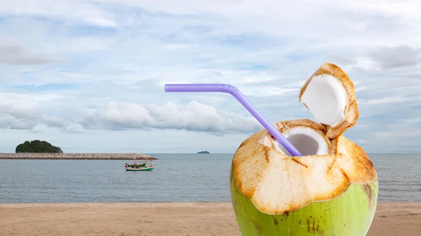 Seca de água de coco — Fotografia de Stock