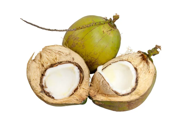 Frutta di cocco — Foto Stock