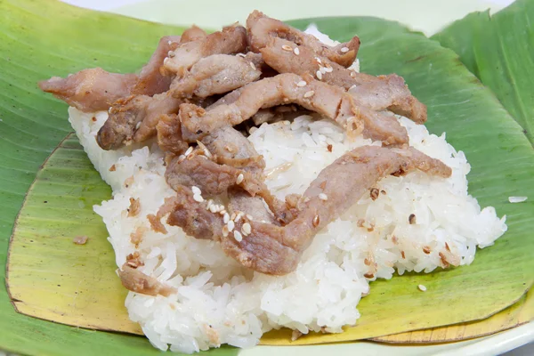 Arroz pegajoso e carne de porco frita colseup — Fotografia de Stock