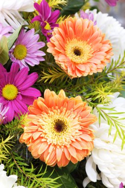 Gerbera ve Daisy bir buket çiçek