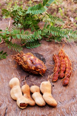 Chunk of fresh Tamarind