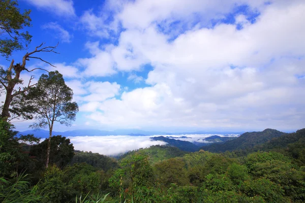 Montaña y niebla —  Fotos de Stock