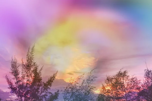 Abstrakter Hintergrund der Silhouette Kiefer — Stockfoto