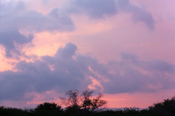 Nuvem na estação chuvosa crepúsculo — Fotografia de Stock