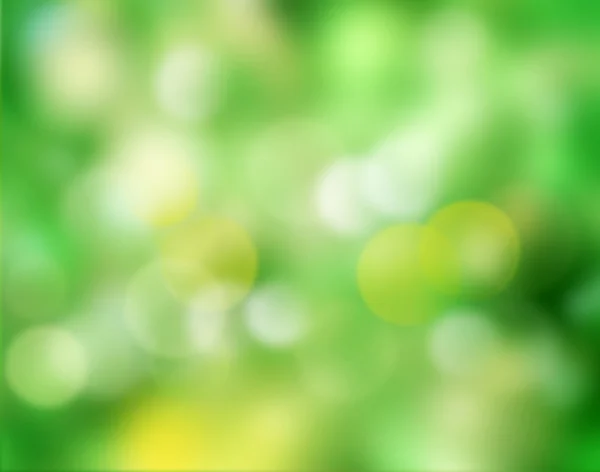 Grüne natürliche abstrakte verschwommene Hintergrund. — Stockfoto