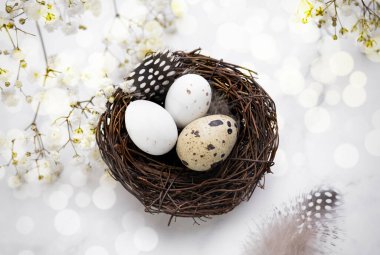Yuva renginde güzel yumurtalar bembeyaz renkte. Paskalya bayramı afişi, dekor..