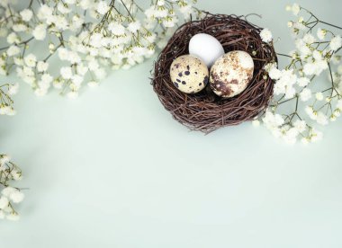 Yeşil boş arkaplanda Paskalya yumurtası üst görünümü, doğal dekor. Tatil arkaplanı. Şık kompozisyon..