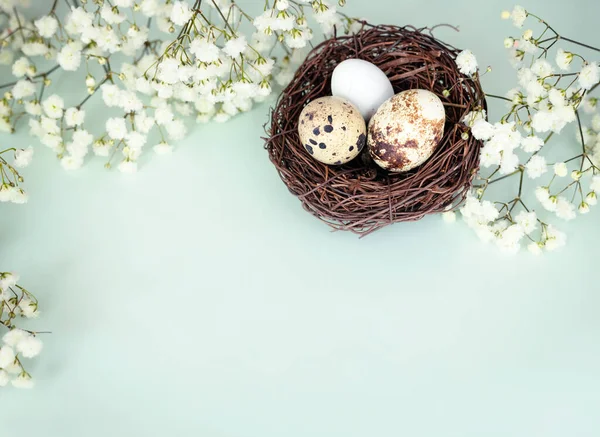 Yeşil boş arkaplanda Paskalya yumurtası üst görünümü, doğal dekor. Tatil arkaplanı. Şık kompozisyon..