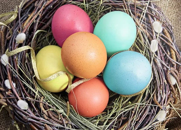 Easter eggs in nest. — Stock Photo, Image