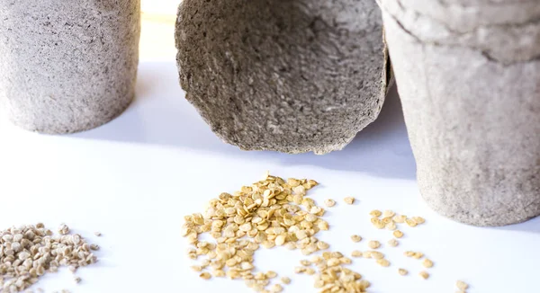 Şirket, biber tohumu ve fincanlar.